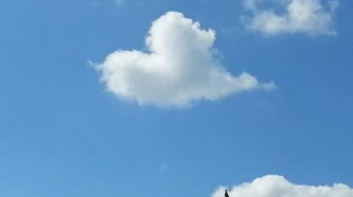 Previsione serale per il 14-02: San Valentino con il sole su tutta la provincia